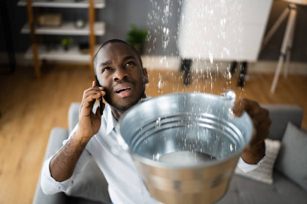 Best Water damage cleanup near me  in Pleasanton, CA