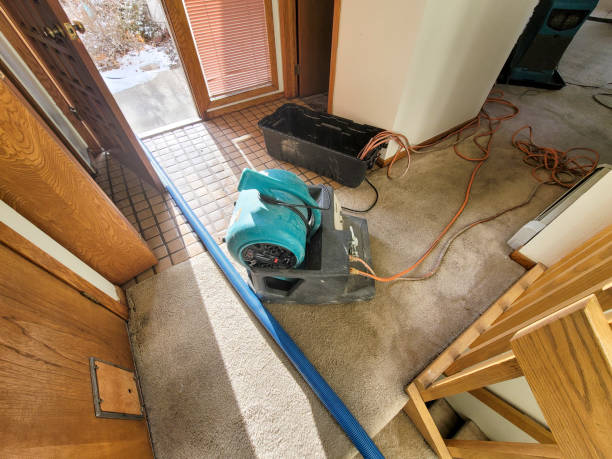 Best 24/7 water damage repair  in Pleasanton, CA