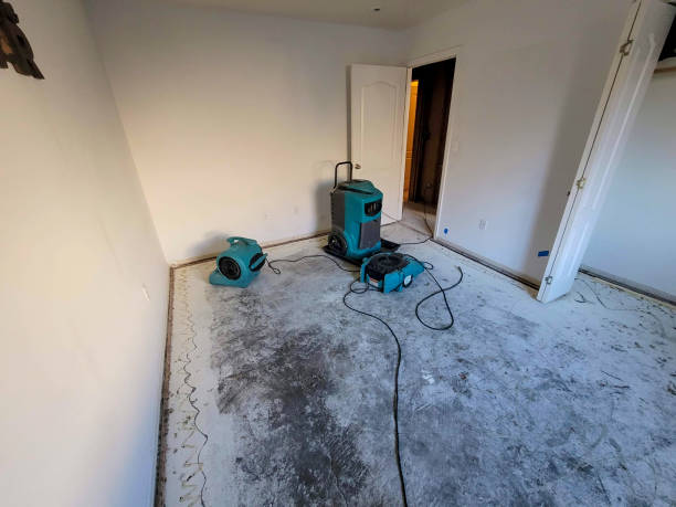  Pleasanton, CA Water damage restoration Pros