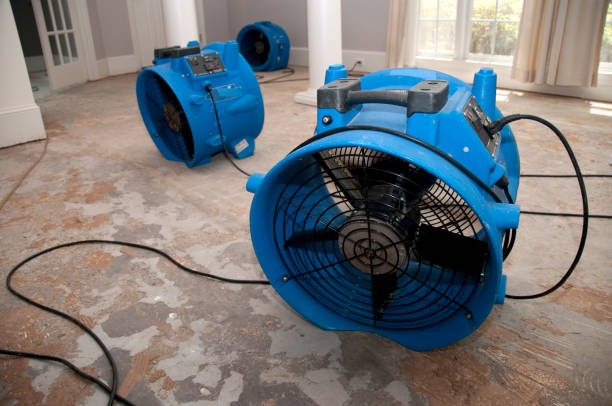 Best Water damage contractors near me  in Pleasanton, CA